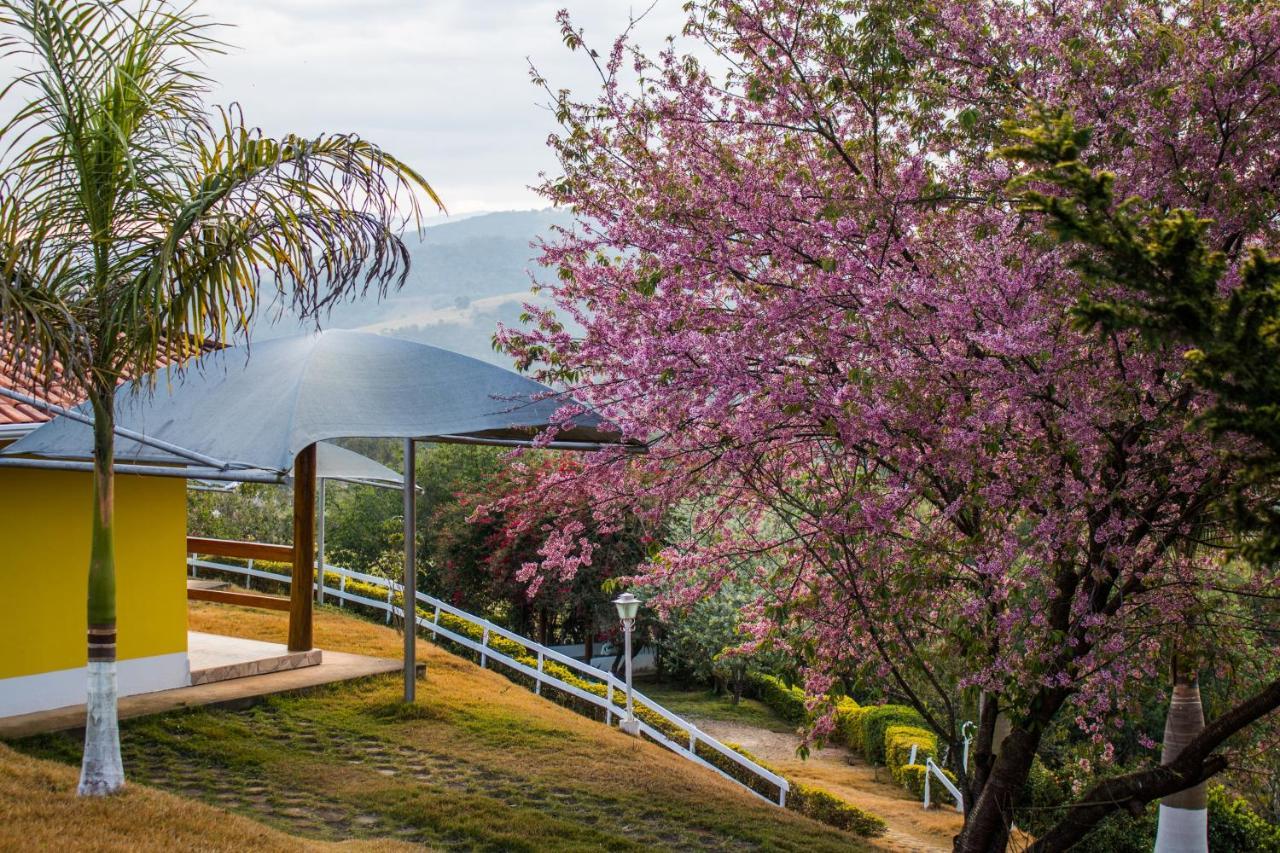 Pousada Sonho Meu 이탄한두 외부 사진